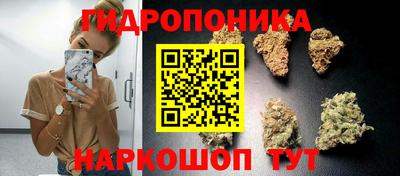 стаф Славгород