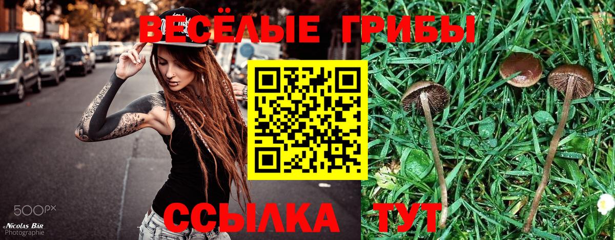 Северобайкальск  Псилоцибиновые грибы GOLDEN TEACHER  Вход с VPN 