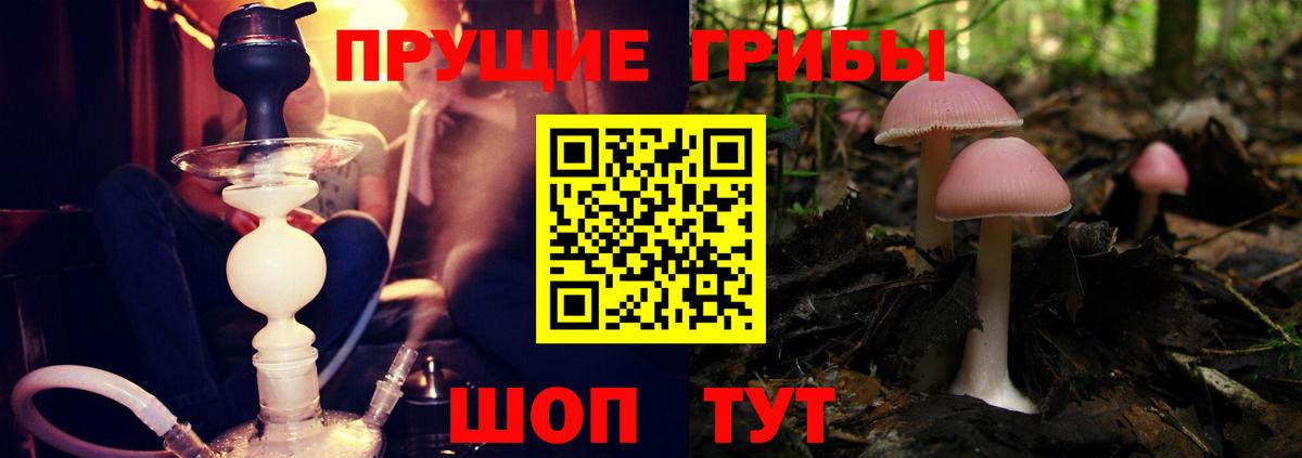 Галлюциногенные грибы прущие грибы Северобайкальск